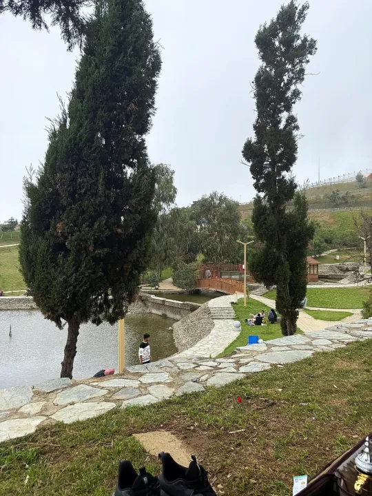 Park view 12