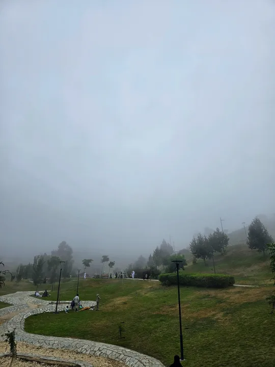 Park view 17