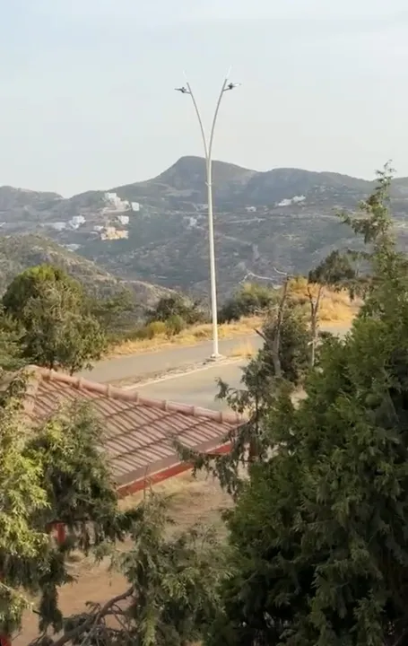 Park view 4