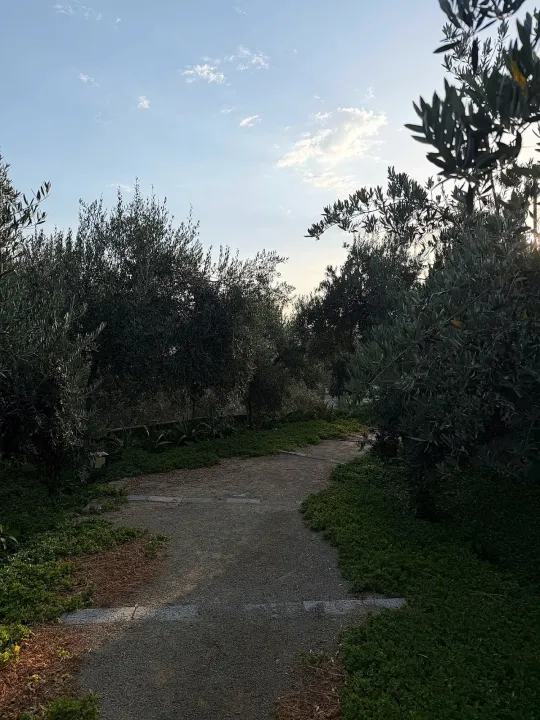 place