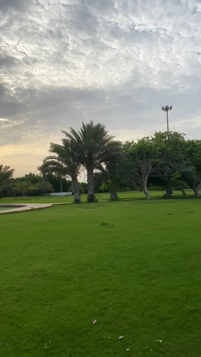 place