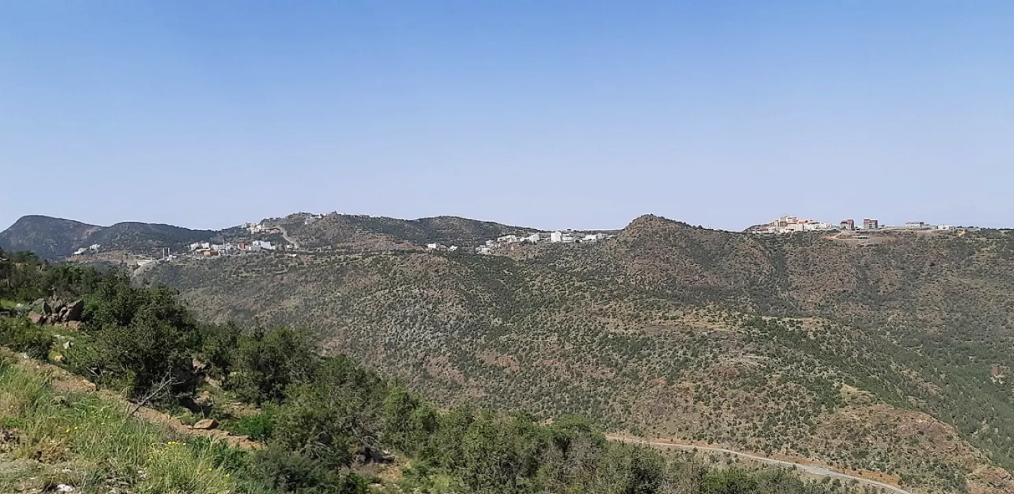 Park view 5