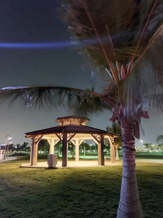 Park view 4