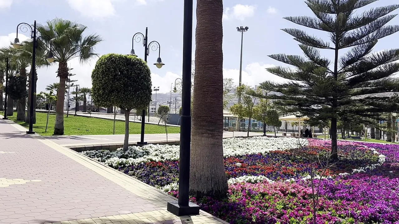 Park view 4