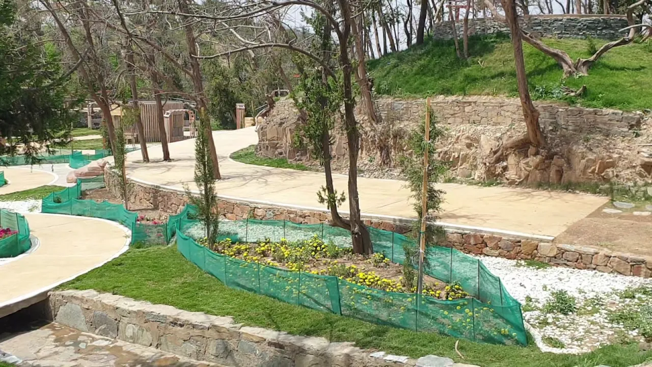 Park view 15