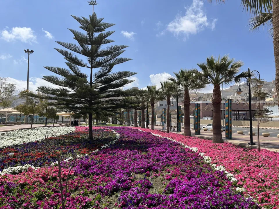 Park view 9