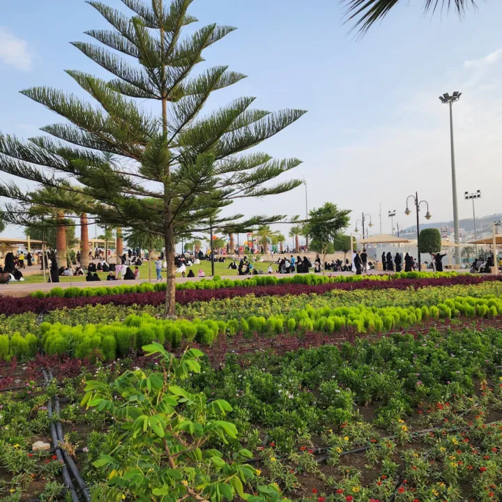 Park view 10