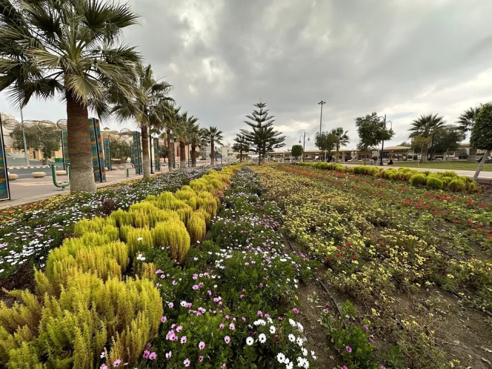 Park view 15